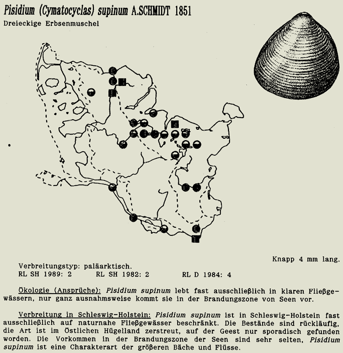 map c LANU-Schleswig-Holstein       drawing  c Projektgruppe Molluskenkartierung 