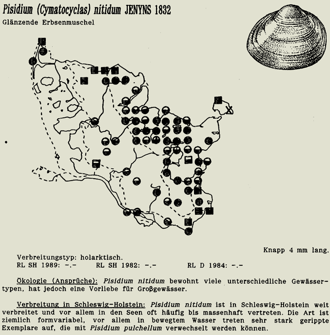 map c LANU-Schleswig-Holstein       drawing  c Projektgruppe Molluskenkartierung 