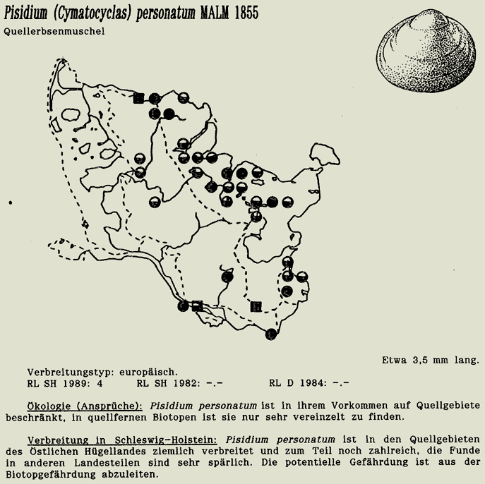 map c LANU-Schleswig-Holstein       drawing  c Projektgruppe Molluskenkartierung 