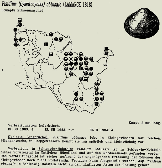 map c LANU-Schleswig-Holstein       drawing  c Projektgruppe Molluskenkartierung 