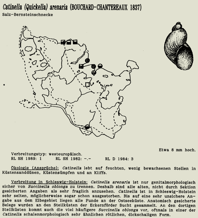 map c LANU-Schleswig-Holstein       drawing  c Projektgruppe Molluskenkartierung 