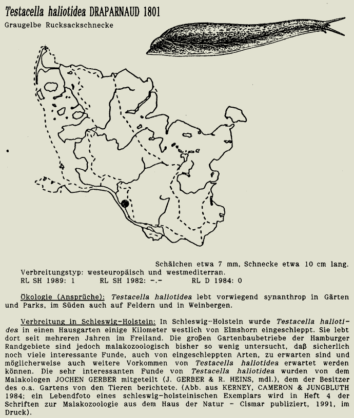 map c LANU-Schleswig-Holstein       drawing  c Projektgruppe Molluskenkartierung 