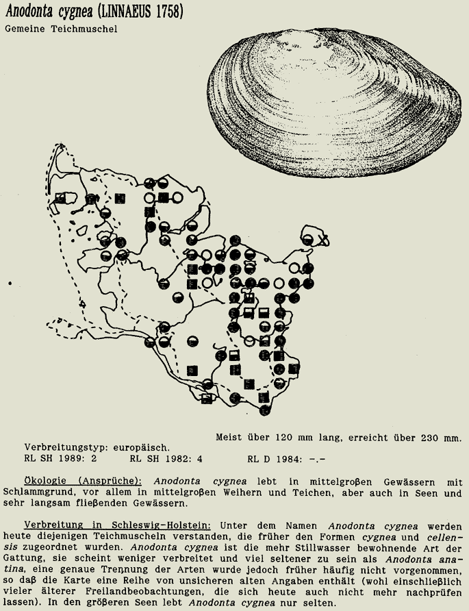 map c LANU-Schleswig-Holstein       drawing  c Projektgruppe Molluskenkartierung 