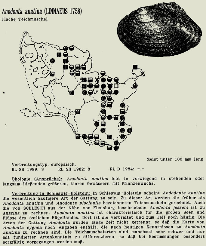 map c LANU-Schleswig-Holstein       drawing  c Projektgruppe Molluskenkartierung 