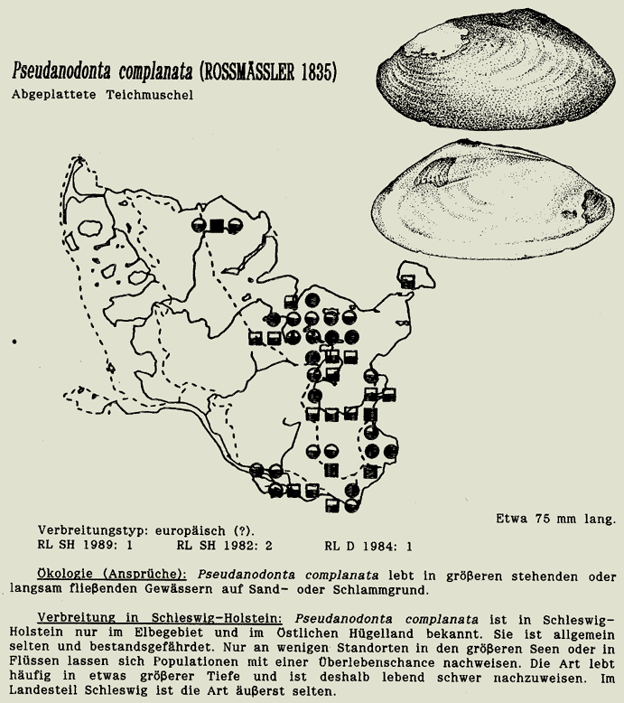 map c LANU-Schleswig-Holstein       drawing  c Projektgruppe Molluskenkartierung 