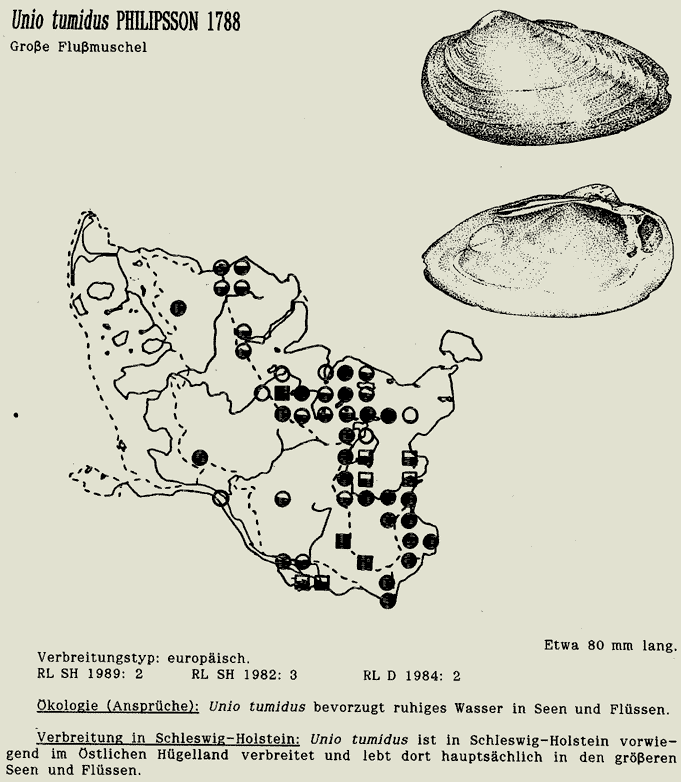 map c LANU-Schleswig-Holstein       drawing  c Projektgruppe Molluskenkartierung 