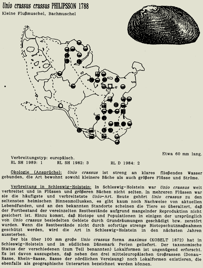 map c LANU-Schleswig-Holstein       drawing  c Projektgruppe Molluskenkartierung 