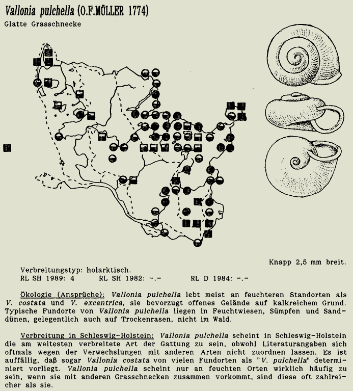 map c LANU-Schleswig-Holstein       drawing  c Projektgruppe Molluskenkartierung 