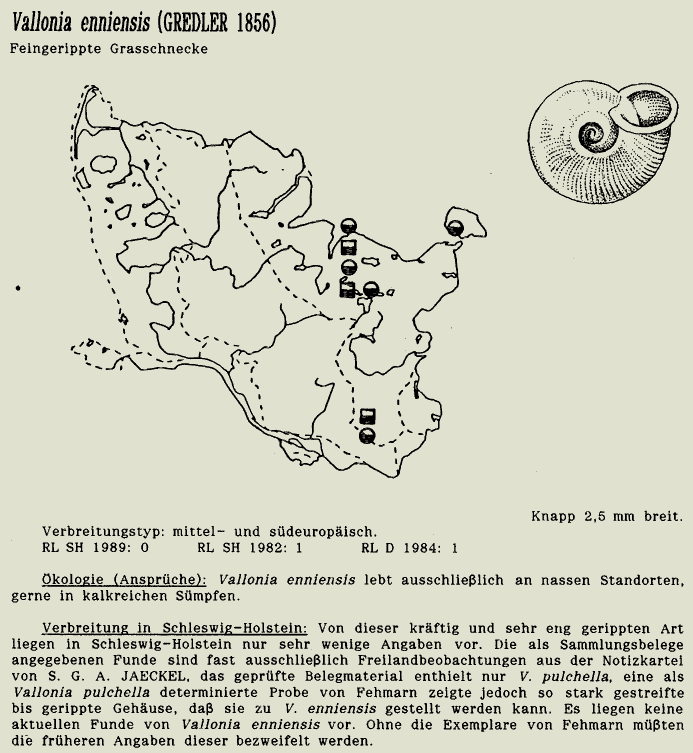 map c LANU-Schleswig-Holstein       drawing  c Projektgruppe Molluskenkartierung 