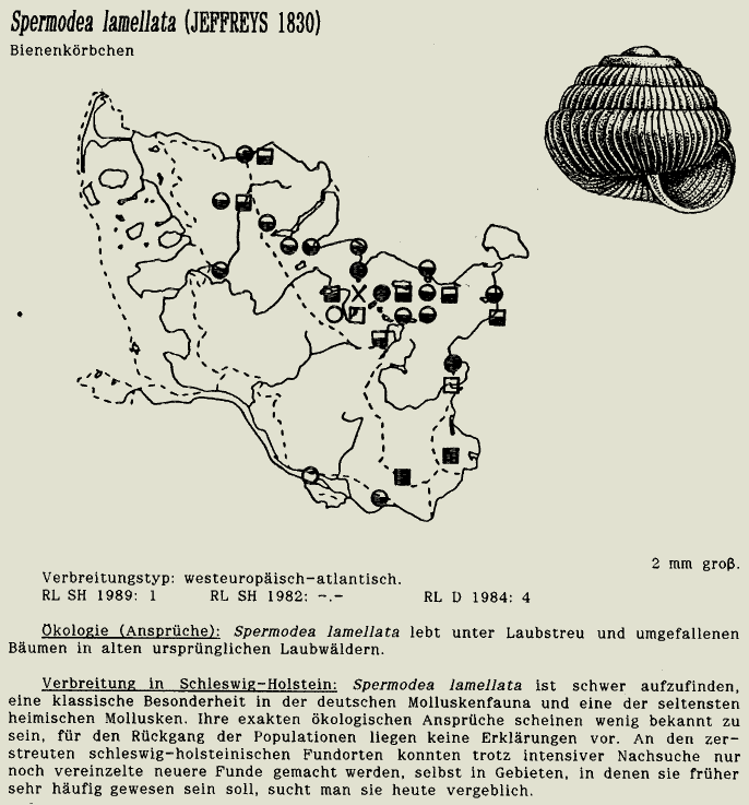 map c LANU-Schleswig-Holstein       drawing  c Projektgruppe Molluskenkartierung 