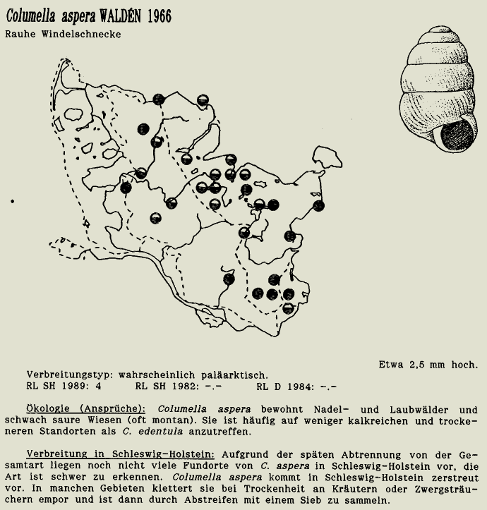 map c LANU-Schleswig-Holstein       drawing  c Projektgruppe Molluskenkartierung 