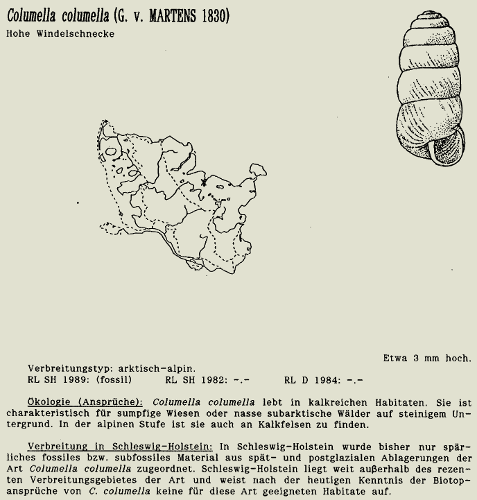 map c LANU-Schleswig-Holstein       drawing  c Projektgruppe Molluskenkartierung 