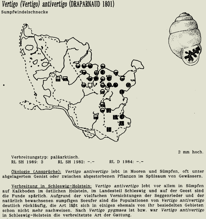 map c LANU-Schleswig-Holstein       drawing  c Projektgruppe Molluskenkartierung 