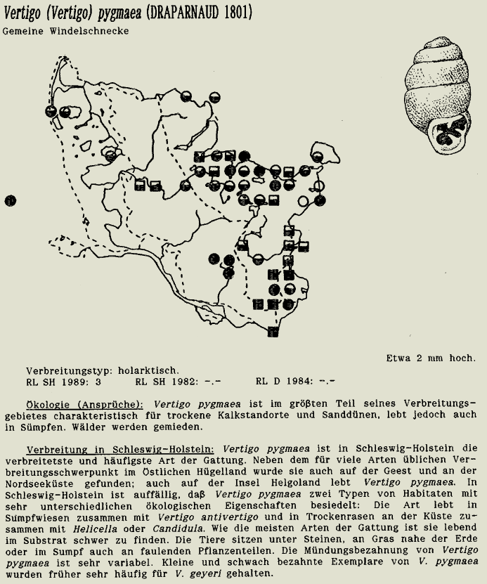 map c LANU-Schleswig-Holstein       drawing  c Projektgruppe Molluskenkartierung 