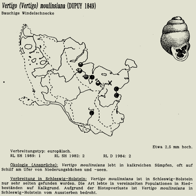 map c LANU-Schleswig-Holstein       drawing  c Projektgruppe Molluskenkartierung 