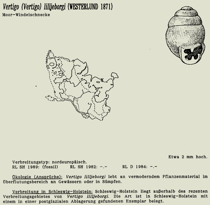 map c LANU-Schleswig-Holstein       drawing  c Projektgruppe Molluskenkartierung 