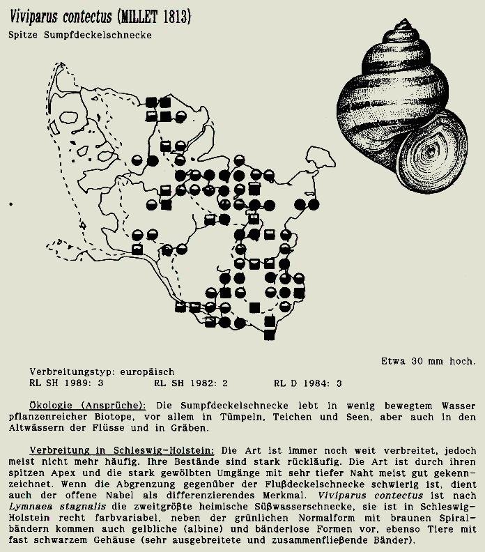 map c LANU-Schleswig-Holstein       drawing  c Projektgruppe Molluskenkartierung 