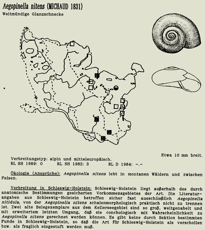 map c LANU-Schleswig-Holstein       drawing  c Projektgruppe Molluskenkartierung 