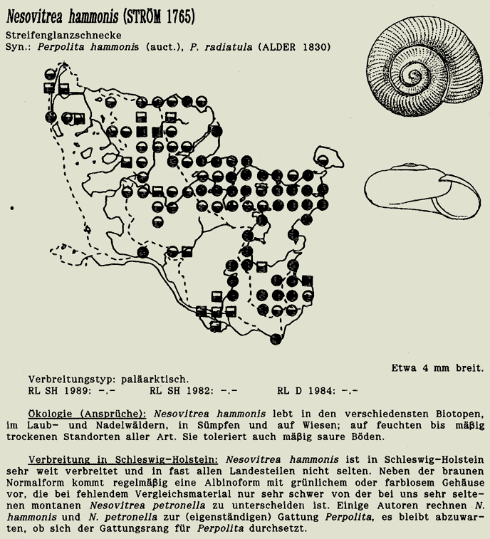 map c LANU-Schleswig-Holstein       drawing  c Projektgruppe Molluskenkartierung 