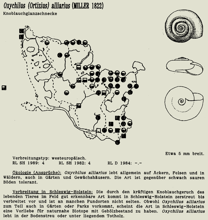 map c LANU-Schleswig-Holstein       drawing  c Projektgruppe Molluskenkartierung 