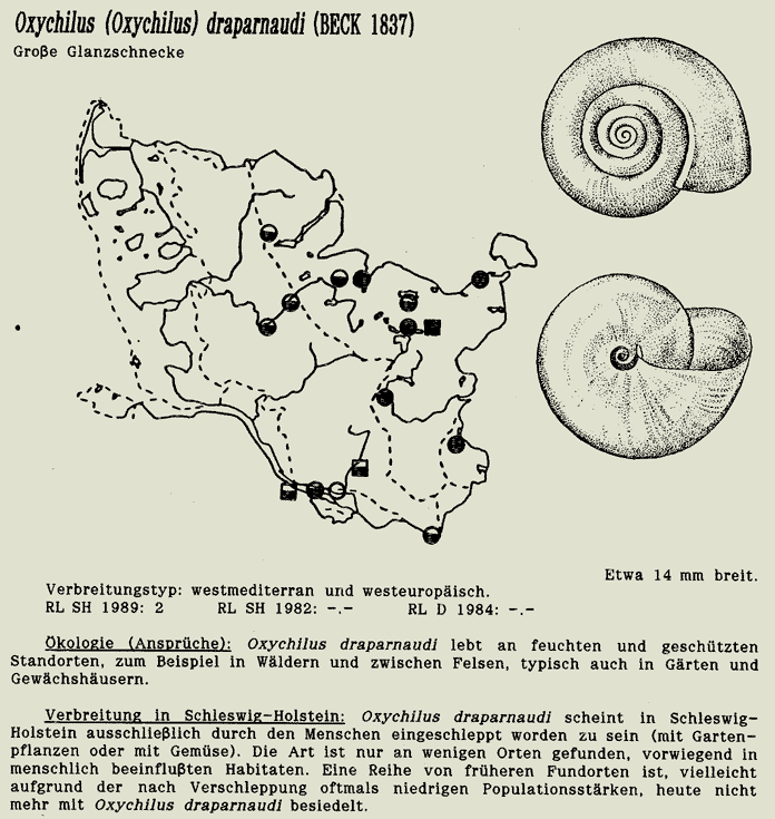 map c LANU-Schleswig-Holstein       drawing  c Projektgruppe Molluskenkartierung 